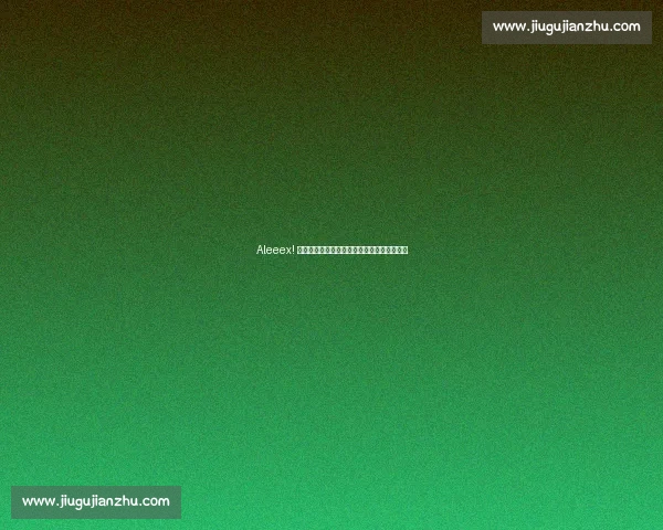 Aleeex! ️现场直击：邂逅阿尔本车迷的熊猫头盔热潮