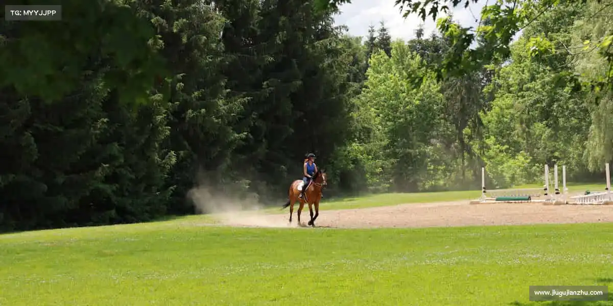 mk体育网站地址🚴‍♂️现在出发，永远不晚 —— 你的体育故事，从点击开始！